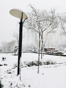 公园里的雪景