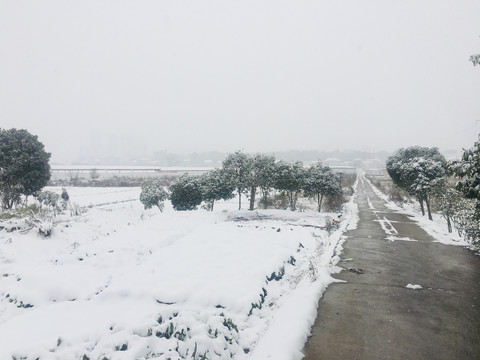 大雪纷飞雪景乡村暴雪