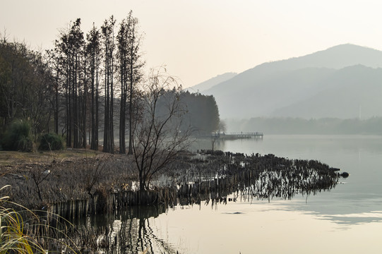 无锡蠡湖风景