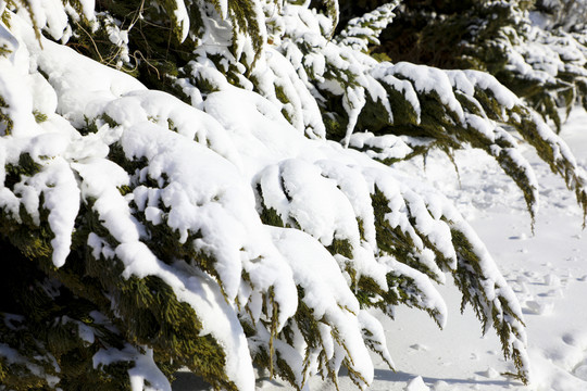 高清雪景素材