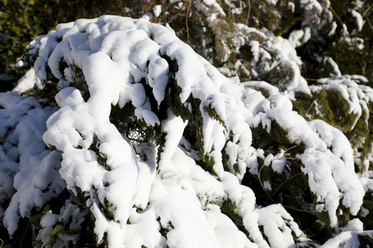 高清雪景素材