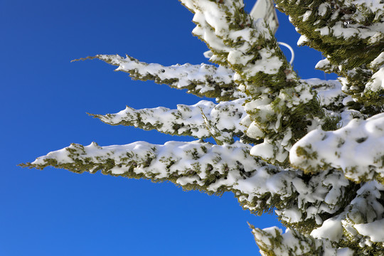 高清雪景素材