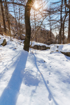 雪后崂山巨峰晶挂雾凇