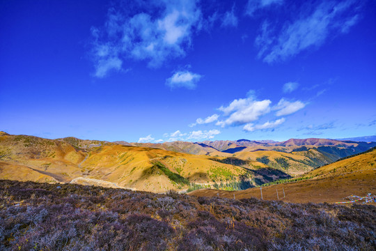 川西甘孜风光理塘秋色风景摄影