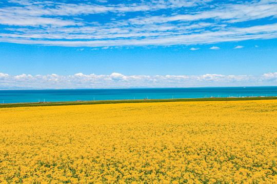 青海湖