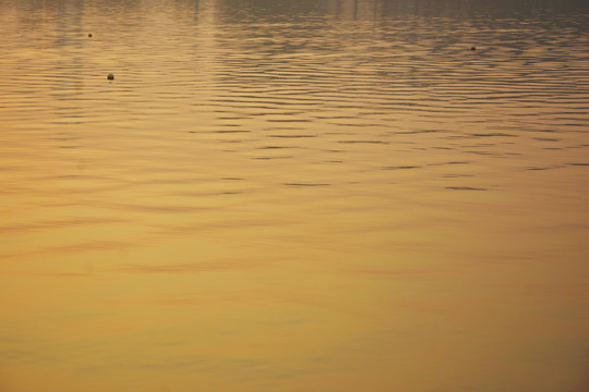 夕阳湖面波纹