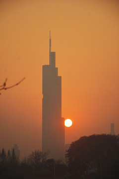 紫峰大厦与落日