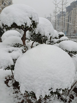 雪景