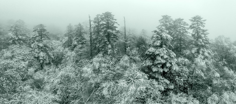 峨眉山雪景