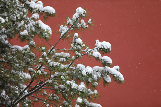 故宫雪