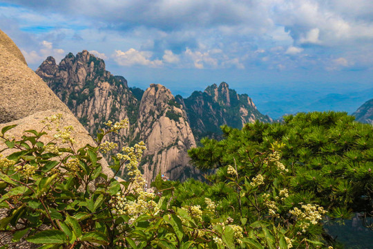 黄山