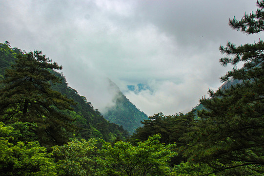 大美黄山云