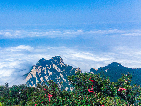 陕西华山