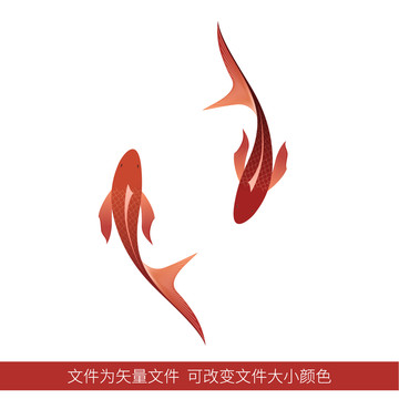 錦鯉新年