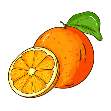手绘橙子