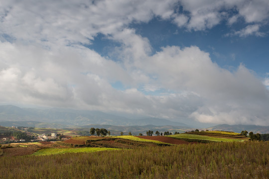 东川红土地