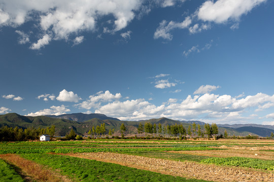 东川红土地