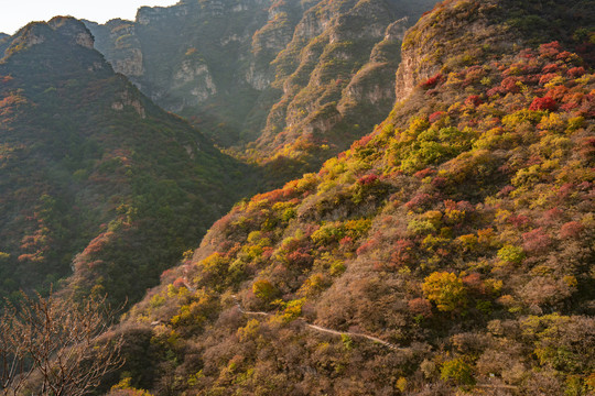 河北白银坨风光