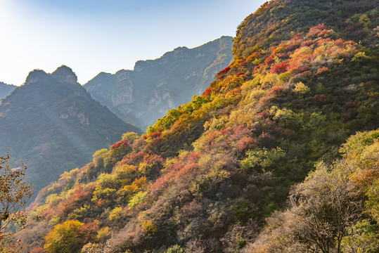 河北白银坨风光