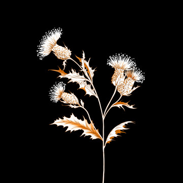 手繪花