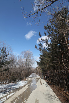 琵岩山公路