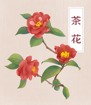 手繪茶花