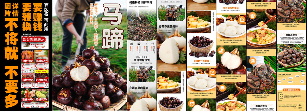 馬蹄詳情