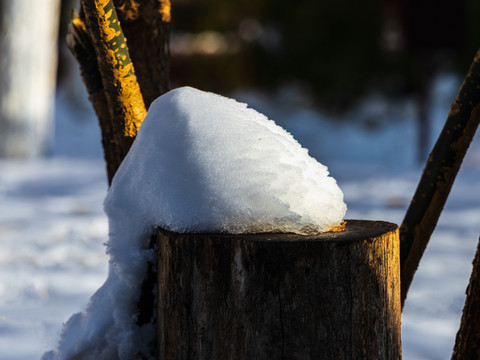 冬雪