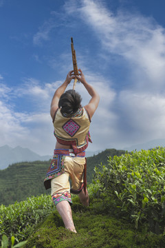 蓝天白云蜿蜒茶山风光