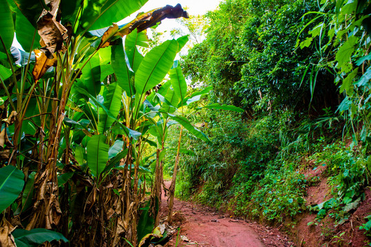 深山土路