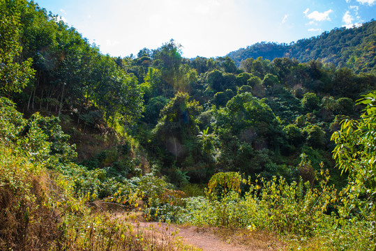 深山土路