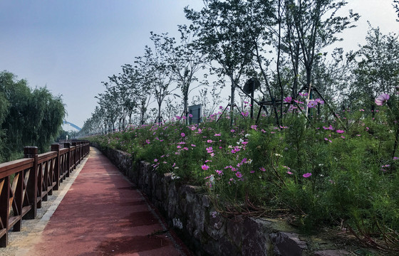 郑州黄河大堤生态观光步道