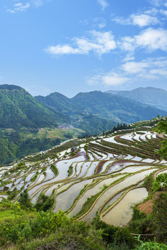 加榜梯田风光