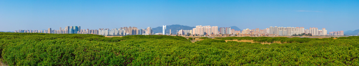 泉州城东全景