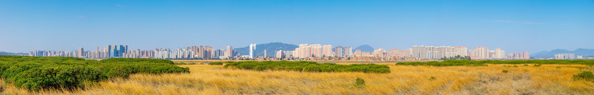 泉州城东全景