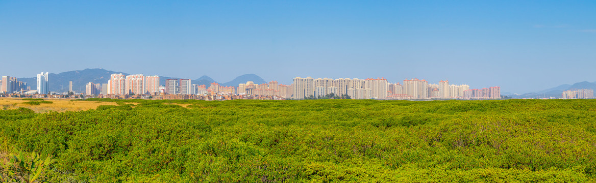 泉州市城东全景