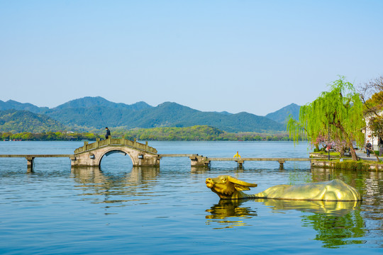 西湖春景