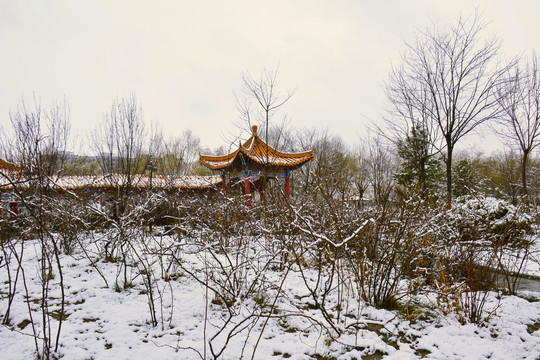 公园雪景