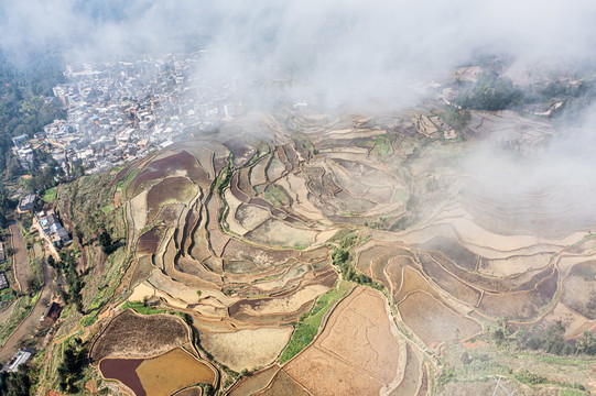 甲寅梯田