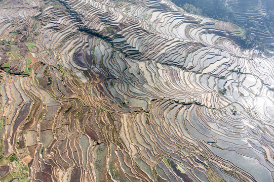 甲寅梯田