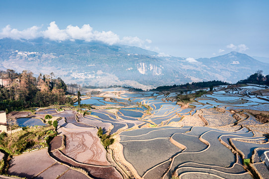 爱村梯田