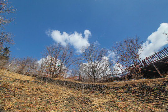 琵岩山