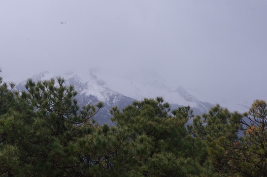 山林风景