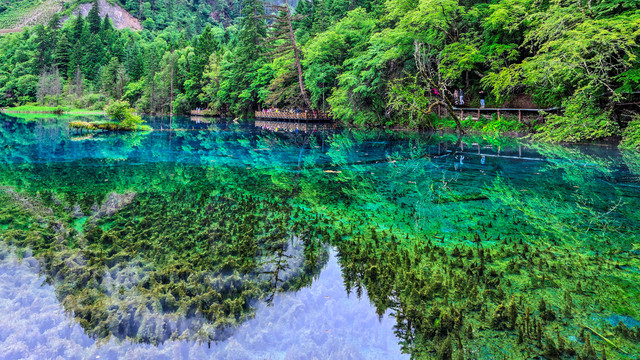 九寨沟五花海