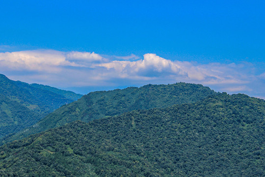 青城山