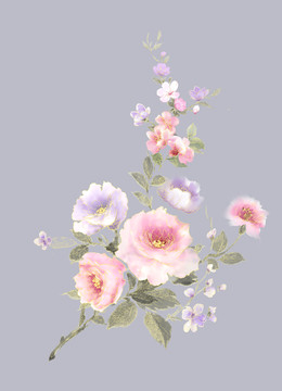 手繪牡丹花