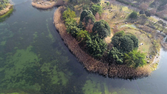 成都锦城湖公园