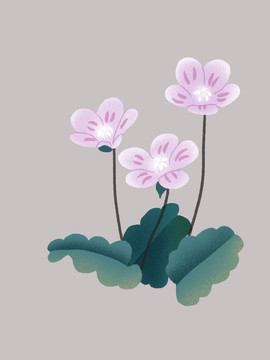 粉色肌理花卉綠植插畫粉色