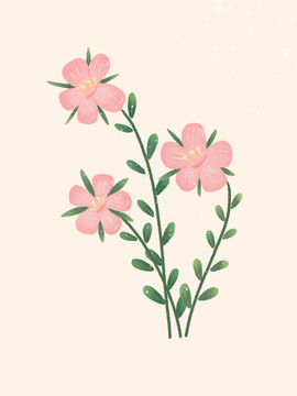 簡約肌理花卉綠植插畫