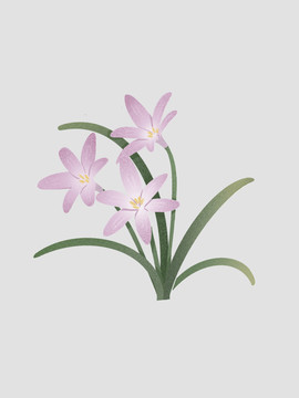 花卉植物插畫裝飾畫